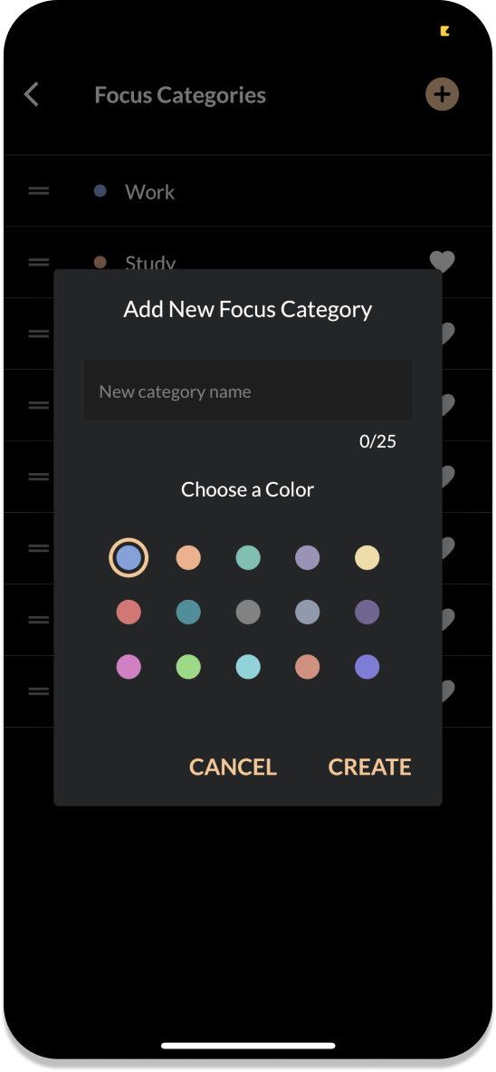 Focus category 2
