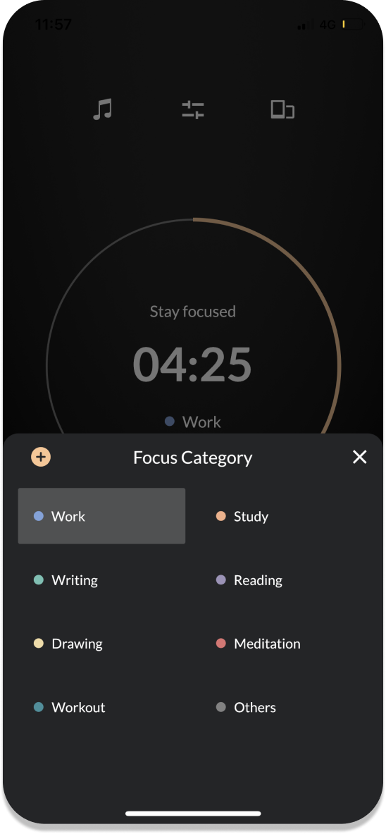 Focus category 1